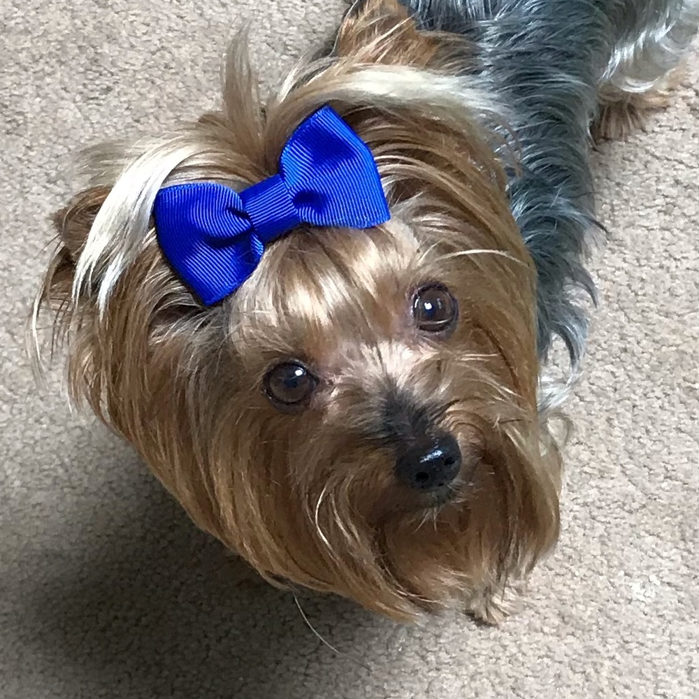 Meet your Posher, Stephanie